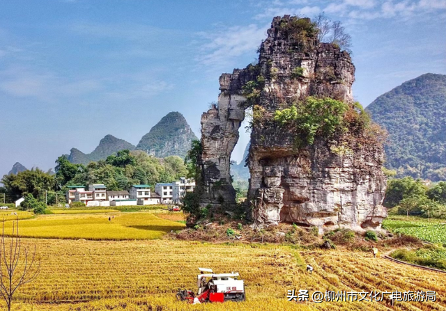 什么样的快乐几块钱就能买到？答案就在圩日里