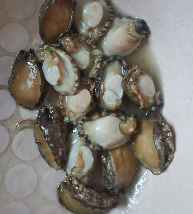 菠菜和花胶可以同吃吗 2025年菠菜可以和花胶一起吃吗