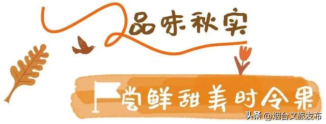【乐游烟台】你好啊，烟台的秋天！
