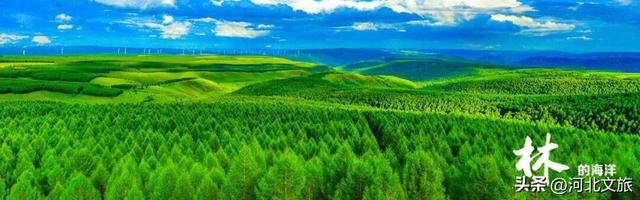 河北到底哪里美 | 畅玩河北坝上之承德围场篇