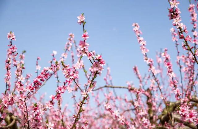 看不完，根本看不完！