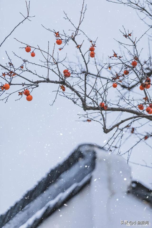 好多人在拍！苏州到底有谁在啊