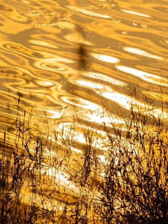 跟着赛事去旅行｜诗意秋浦，骑遇仙境