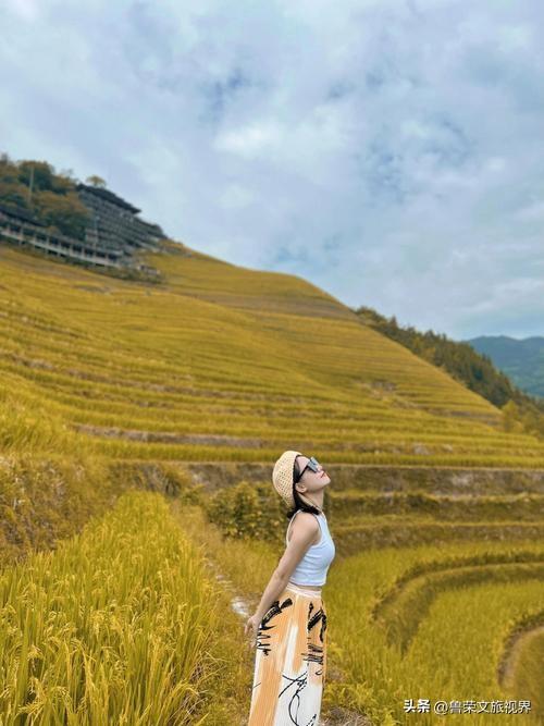 十月龙脊梯田爆火！稻浪美到窒息，这条避堵路线90%的人都不知道