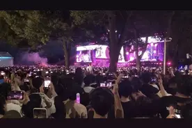 狂卷168亿！今年最火“景区”，站着把钱挣了图片