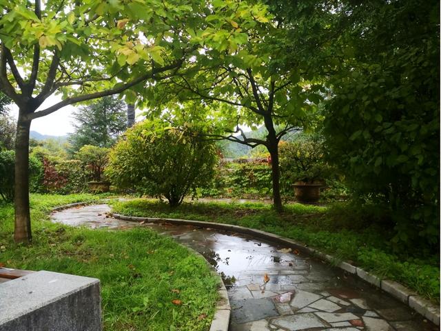 康县：秋雨、青年与白云山的邂逅