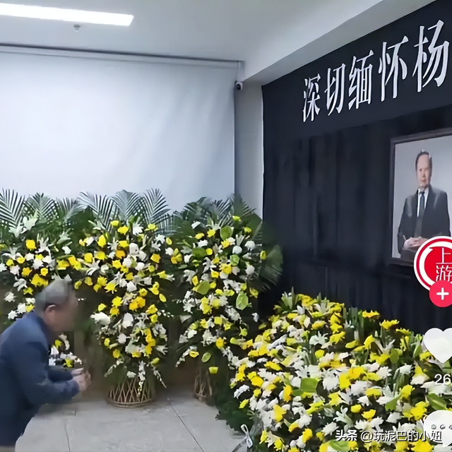 杨振宁追悼会现场！翁帆站首位神情悲伤，64岁老者曝杨老两个贡献