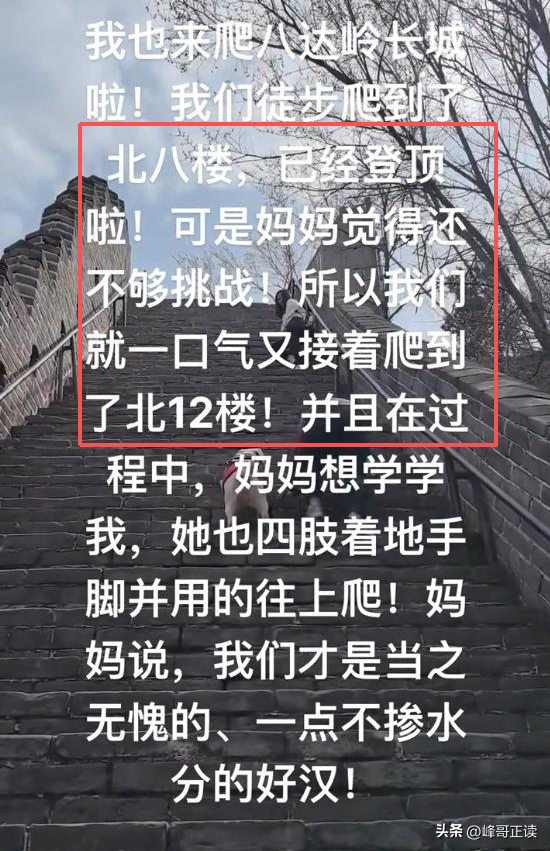 爬泰山的作死夫妻被制裁！导盲犬被收回，身份被扒，家里还有一只