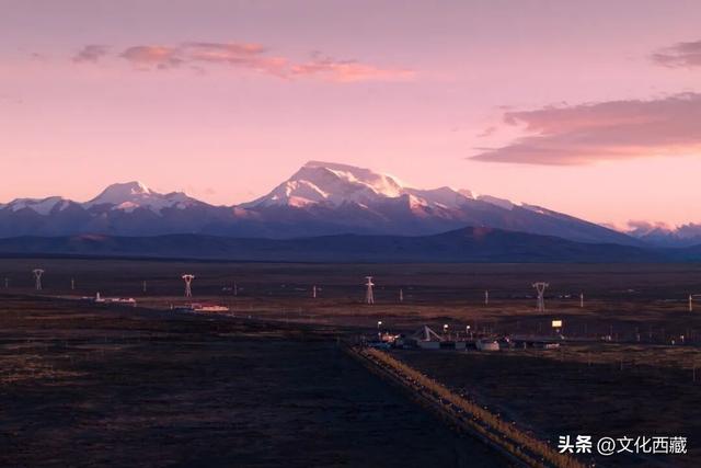 极致风光，唯有西藏阿里！初冬的金色童话一眼沦陷！