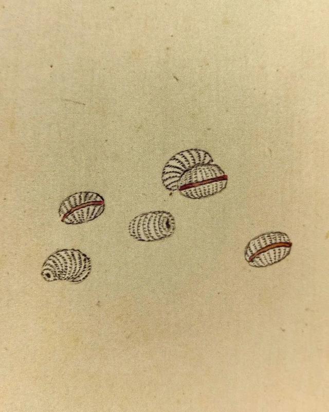 这画，真实又让人脑洞大开！