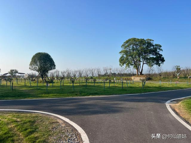 吴城狮子山观鸟