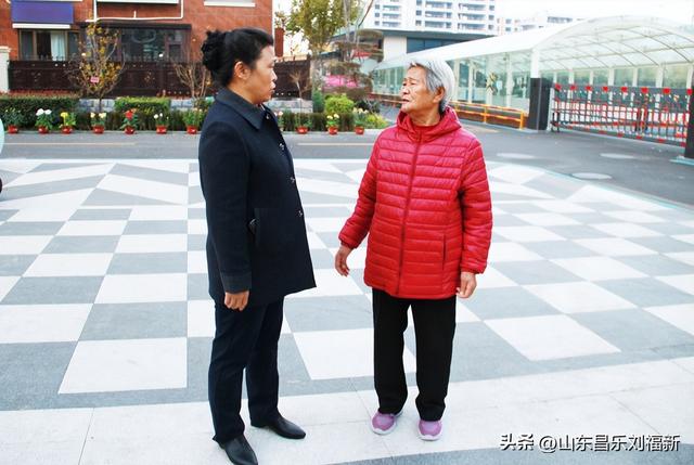 携老伴虹桥花园赏菊（下）