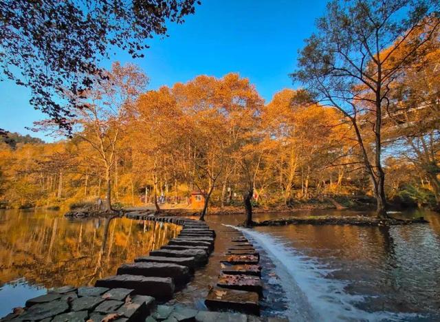 14个免费公园遛娃全攻略：看猴、玩水、露营、徒步一次集齐！速藏