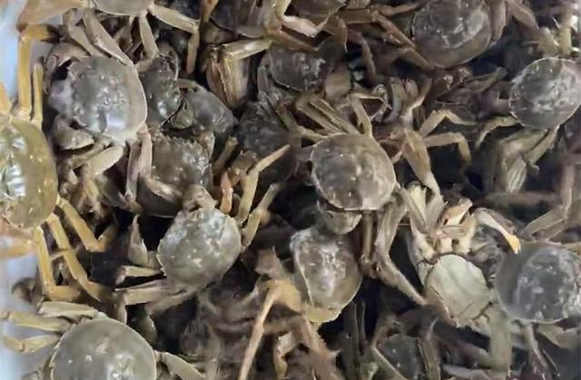 保存螃蟹，直接放冰箱就错了！老渔民教您一招，放7天都鲜活好吃
