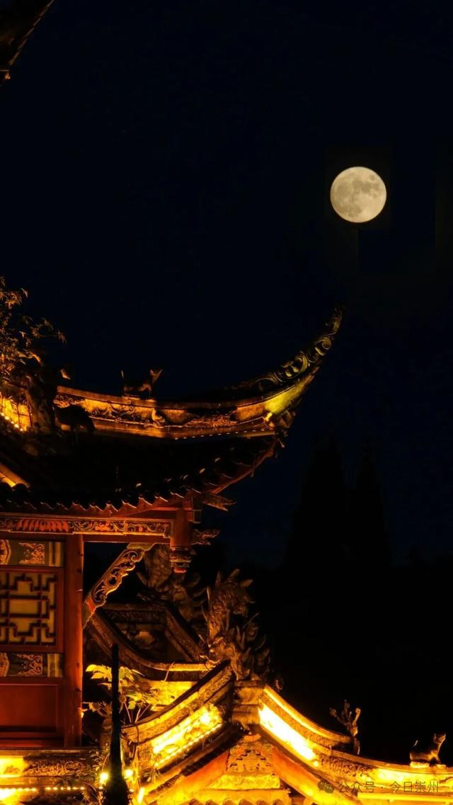 月是蜀州明 | 游园+赏秋，崇州满城风景等你来！
