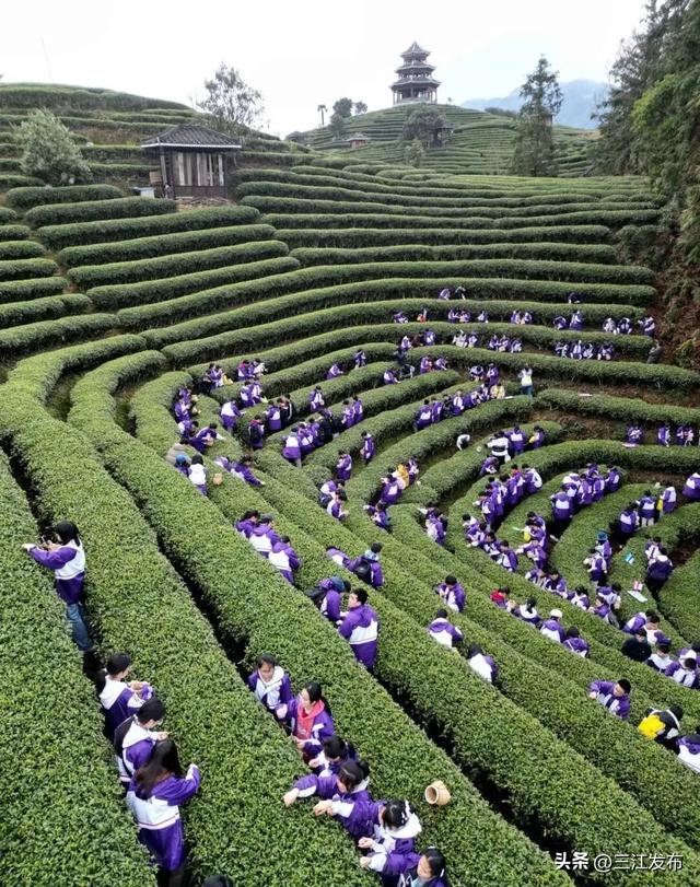 为什么可以反复爱上三江