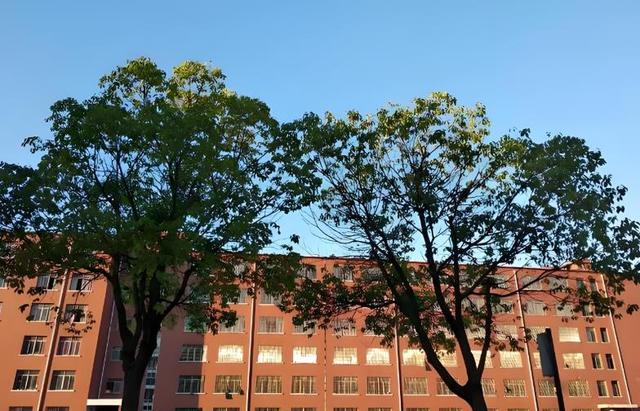 江西风光不再的1所高中，曾16年内出过11个省状元，如今却落寞了