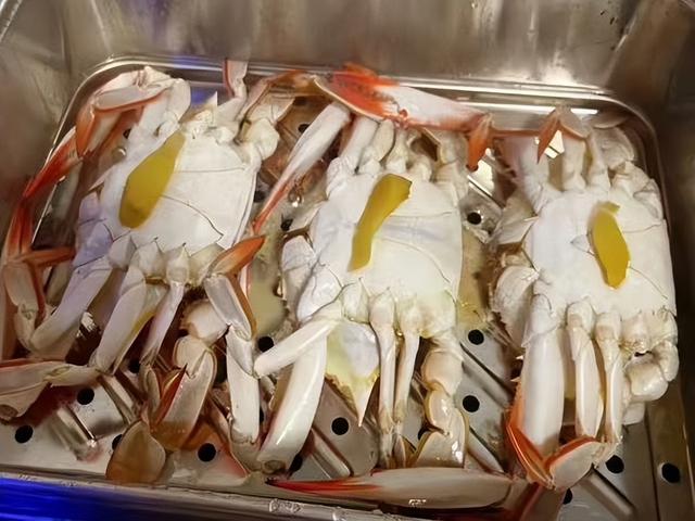 “赶海品鲜、飞阅奇观”滨海畅玩美食+旅游线路！
