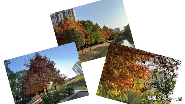 看日落，最美的落日在新疆——所有最美夕阳都汇聚在今天的页面中