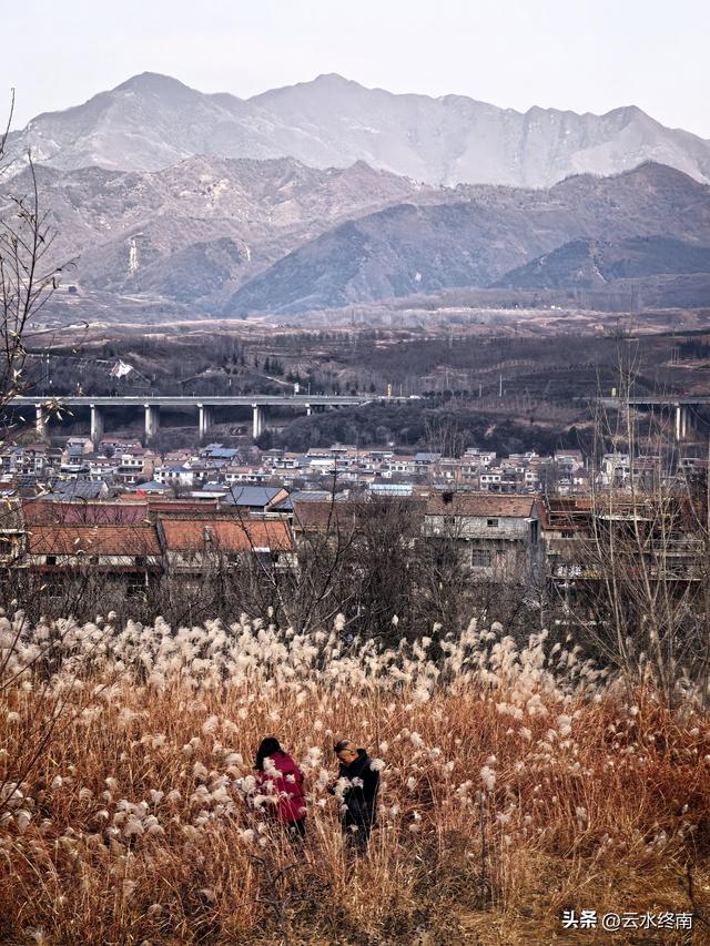 观山景看荻花，这里大概是蓝田最出片的地方了