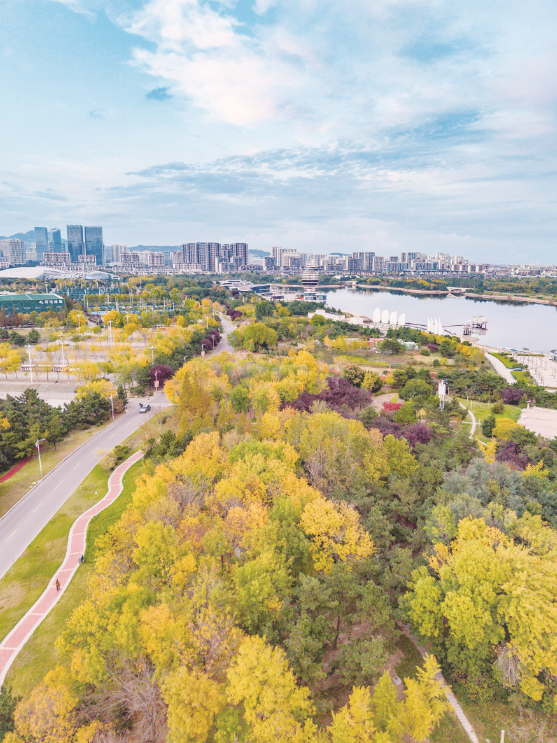 日照秋韵 一笺诗意入画来