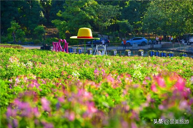 国庆假期，佛山三水南山最热门，因为有一对网红姊妹景区