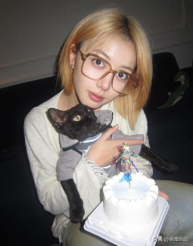 猫咪过生日不看蛋糕，软乎乎暖袋也不碰	，小家伙到底在想啥