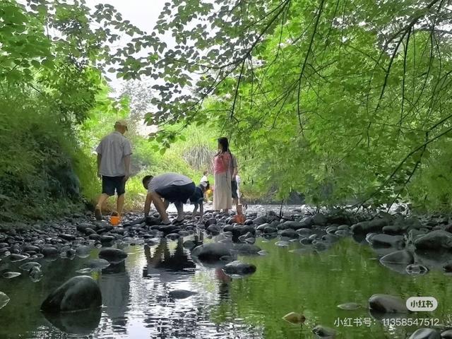 全免费！成都周边30min玩水抓螃蟹、露营野餐钓鱼烧烤！轻松安逸周末快冲！