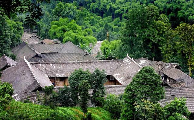成都6个宁静村落，邂逅彩林、稻田、芦苇、草坪…景美好玩不扎堆