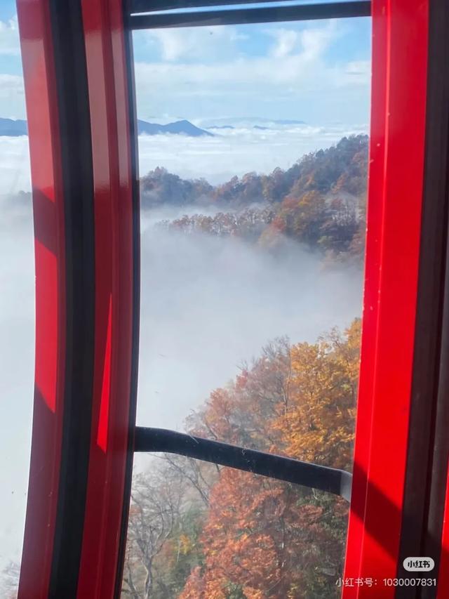 汉中人的私藏赏秋地，一键解锁「无痛爬山+油画森林+云端限定浪漫」的三重体验！