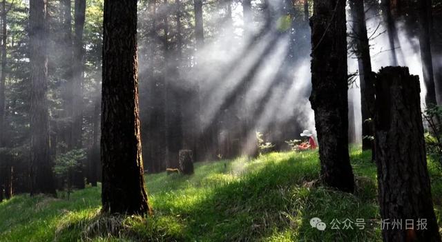 管涔山：华北大地上的山水传奇