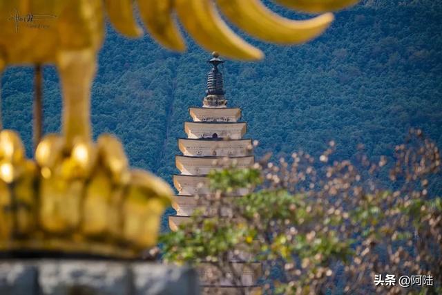 你知道吗？丽江有条1.2公里长的网红路，风景绝美游客却很少