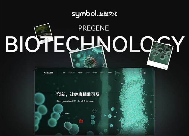 2025 年品牌官网专项需求？十家网站建设公司做高端定制 & 制作