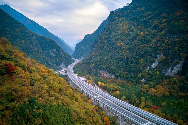走不出这画了，我已被平武的彩林迷倒！