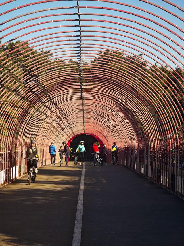 龙华新“骑”点，奔向2026骑行随拍1129