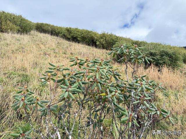 北京自驾长江三峡、神农架之旅（6）
