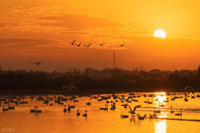 岳阳景点排行榜，湖南岳阳最值得去的10个好玩景点，你去过几个？
