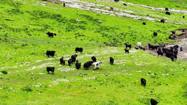 漳县等待每一位“朱迪”和“尼克”前来探险