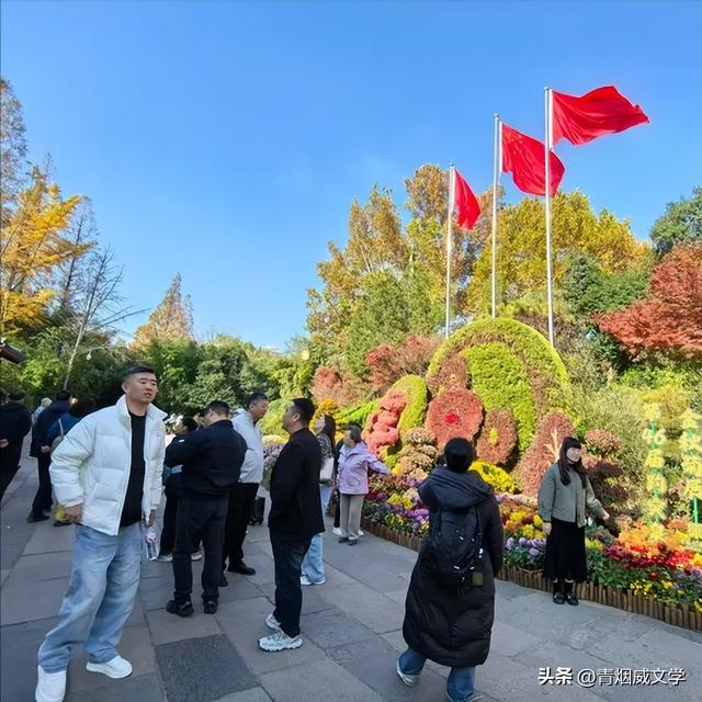 趵突菊韵 锦绣泉城