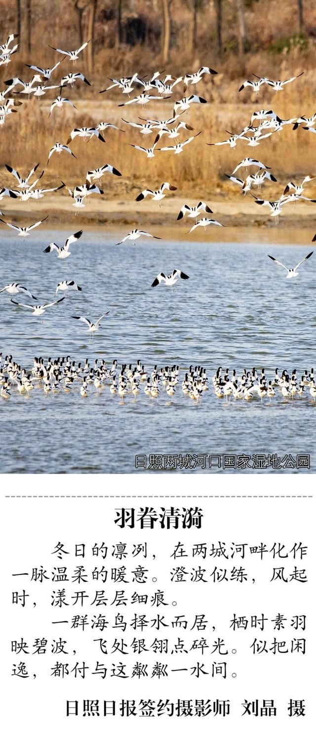 美翻了！超出片！日照这些地方，每天都是……