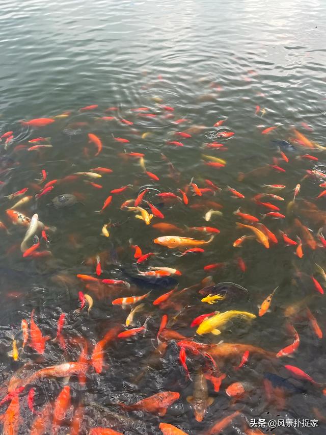 江西庐山西海风景真不错！