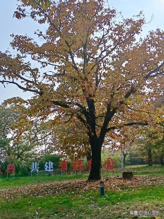 自驾南太行国画小镇石板岩第一天，行驶"全国最美农村路"林石线