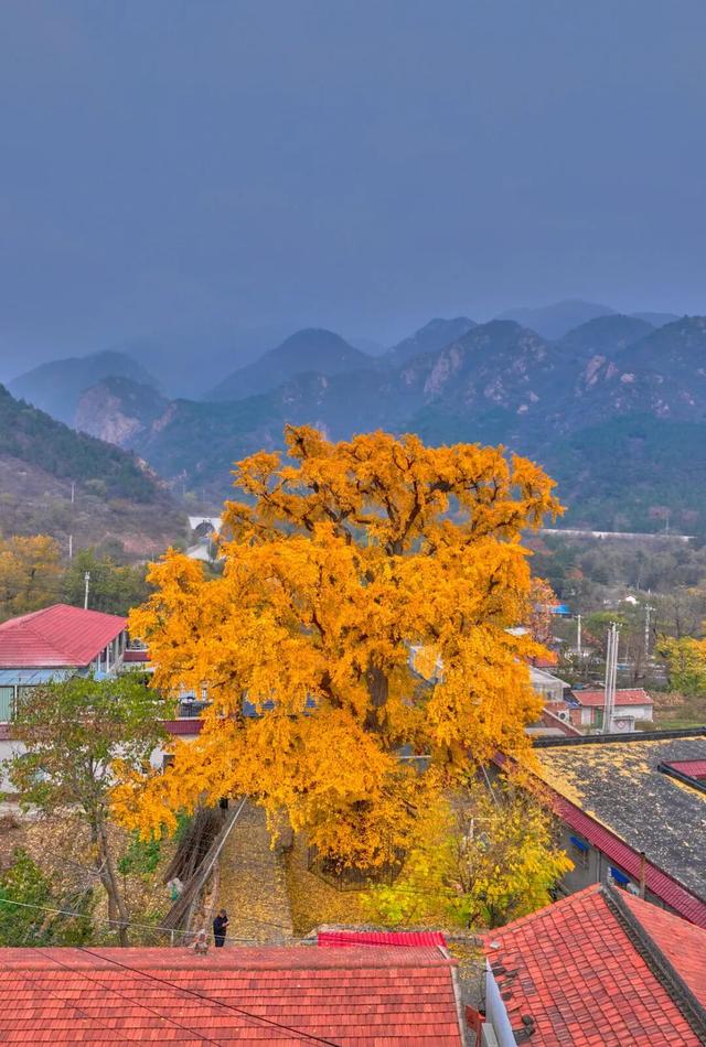太全面了！8条游玩线路+京郊汤泉！带您玩转北京这里！（1）