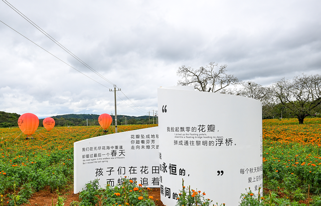 弥勒全新打卡地来袭！从早嗨到晚！离城不远~