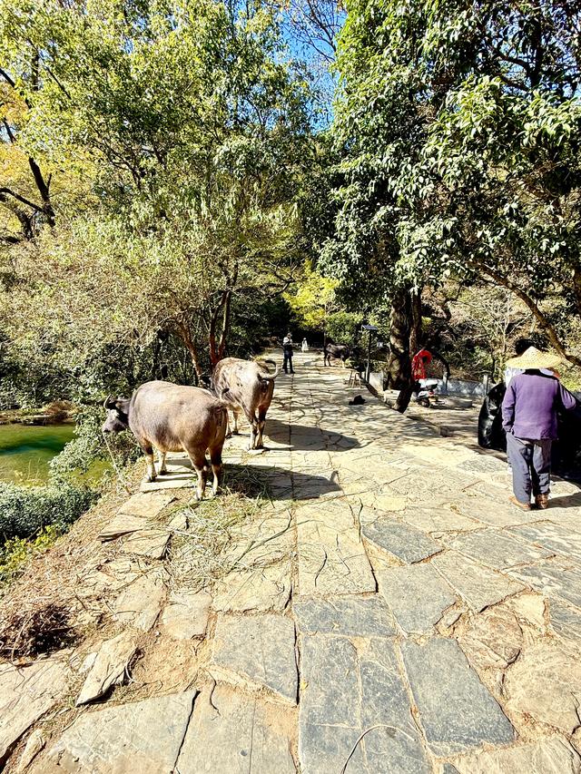 婺里古乡(上饶市婺源县)