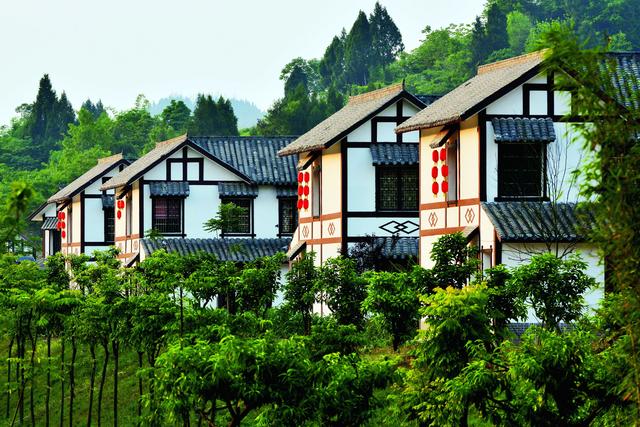 四川省西充县历史沿革及行政区划