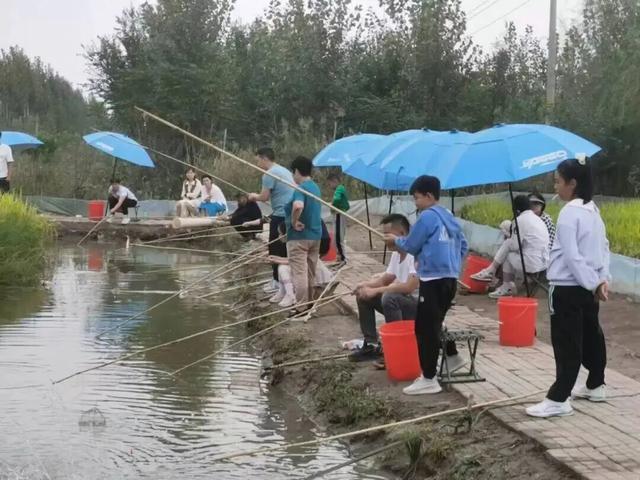2025天津宝坻国庆中秋嘉年华圆满落幕