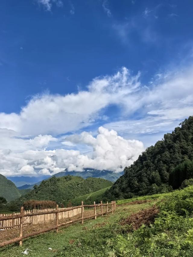 马里冷旧惊现萌宠？黑竹沟彝人牧场小憩营地+驼语小筑+鹿町花阶+矮驹巷陌+绵毛小驿…现已开园，门票免费送！