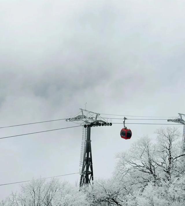2025龙头山今冬第一场雪已至!快出发来赏雪~