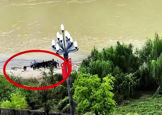 跳河新郎母亲发声！舆论大反转，不止是钱这么简单，更多隐情曝光